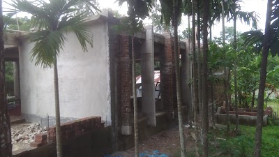 Photos of মুন্সির নাতির জামে মসজিদ