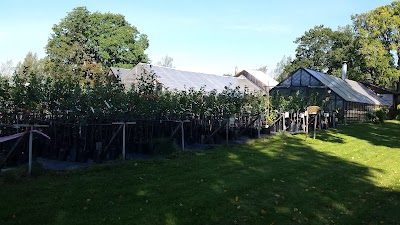 Photos of Saare-T&otilde;rvaaugu aiand O&Uuml;