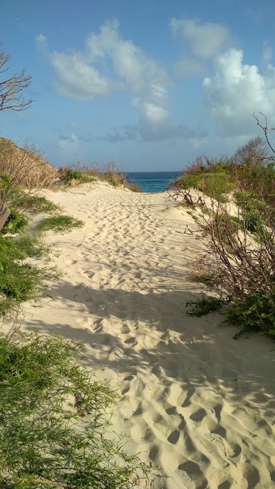 Photos of Anse de Grande Saline