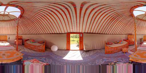 Photo de Les ânes de Vassivière à Peyrat-le-Château (87470)