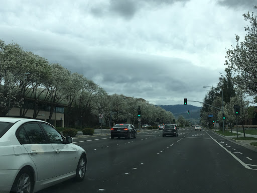 Stevens Creek & Blaney