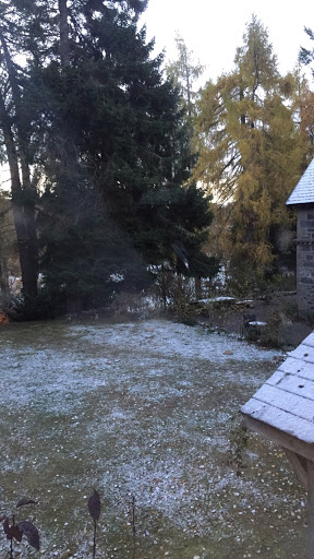 Badenoch - Visual