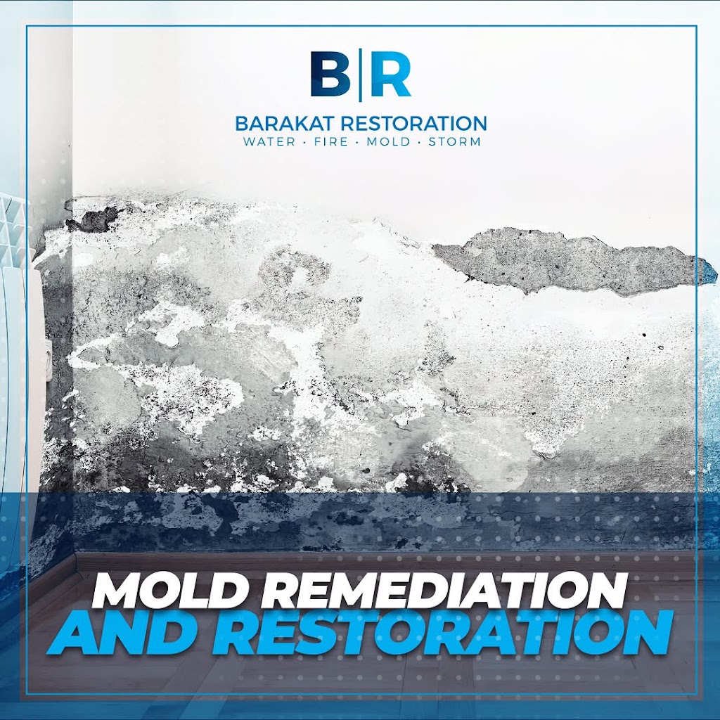 Barakat Restoration photo