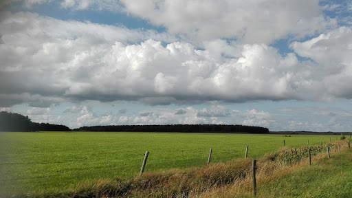 Kampeerboerderij Halfweg - Thumbnail