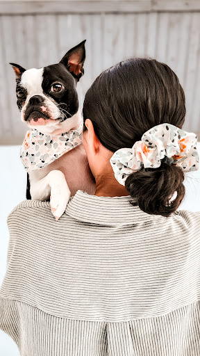 Bossy Pupper - Visual