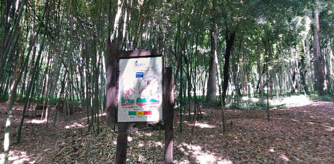 Avaliações doMata Nacional do Choupal em Coimbra - Agência de viagens