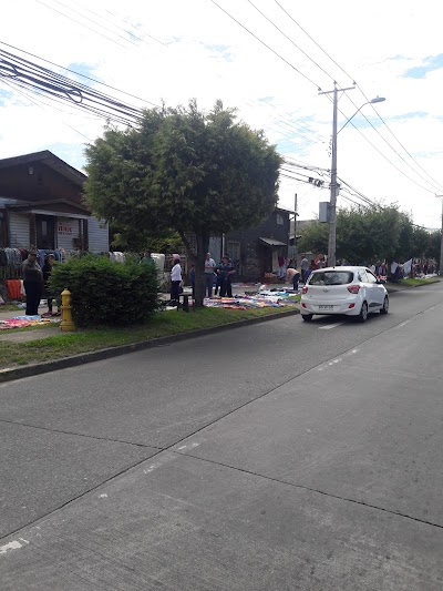 Photos of Distribuidora Adelco Osorno