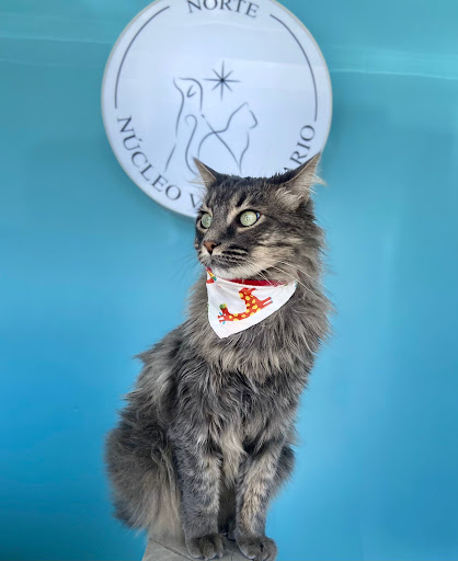 Núcleo veterinario norte