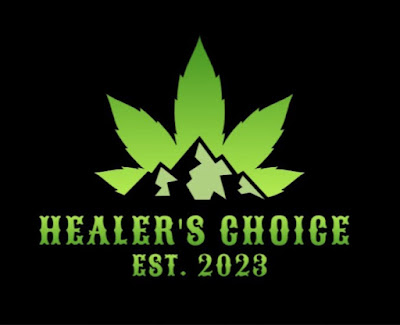 Photo of The Healer's Choice