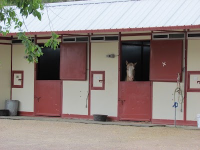 Animal Haven Clinic