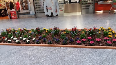 Photos of ZIMBAPARK Shopping Center