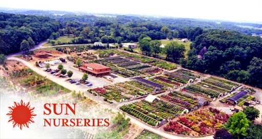 Sun Nurseries - Visual
