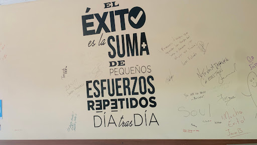 Tacos "El Yayo" Gallery - Mexico
