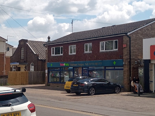 Vets4Pets - Peterborough Gallery - United Kingdom