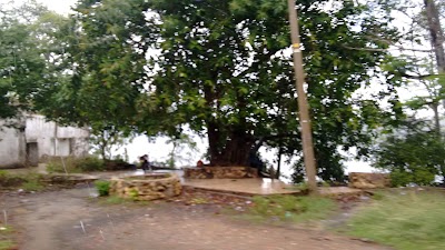 Photos of LAGUNA DE LURUACO