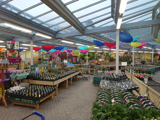 Hayes Garden Centre - Thumbnail