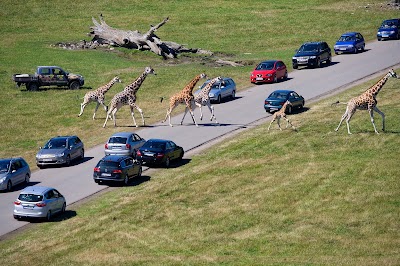 Photos of Knuthenborg Safaripark