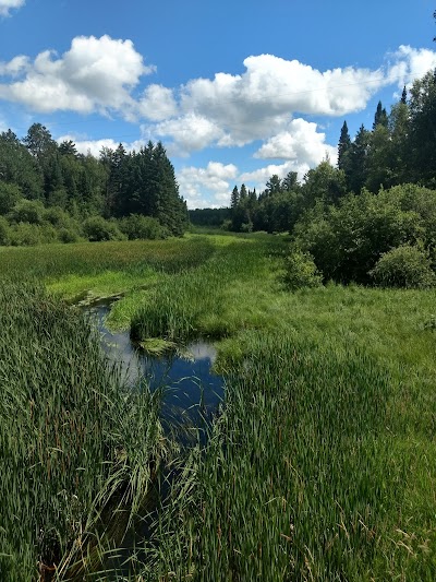 Mississippi Headwaters State Forest