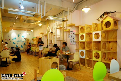 Photos of 고양이다락방 남포점