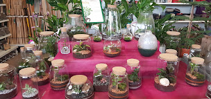 Photo n°18 de Chlorophylle à Aussillon (Jardinerie)