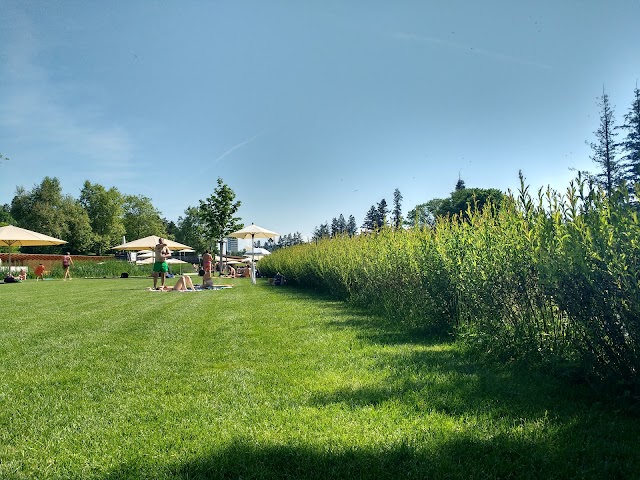 Naturbad Riehen OFFEN