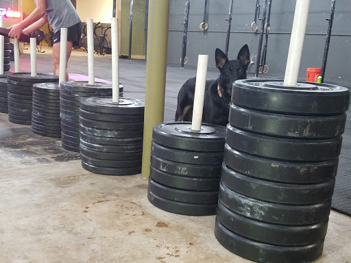 The General Performance Training - Visual