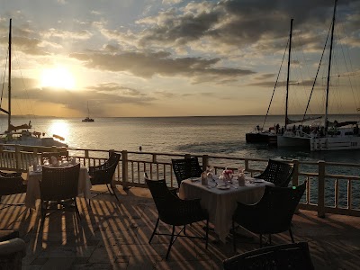 Photos of Toshic Tours Jamaica