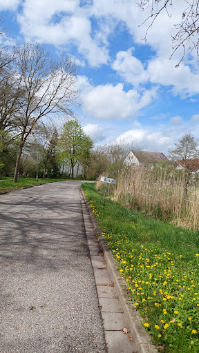 Wald, Friedhof - Visual