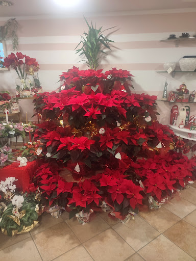 Fiorista Mio Giardino