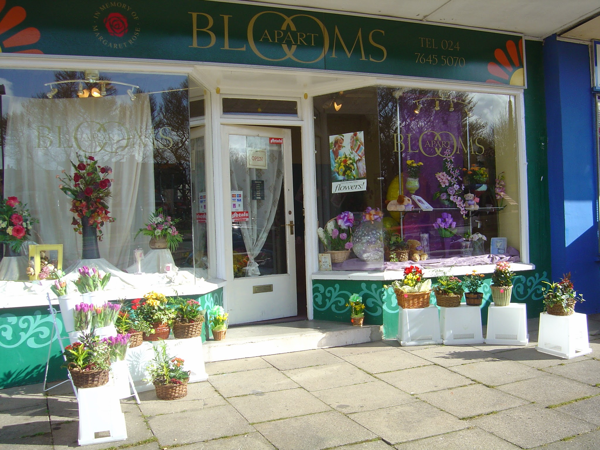 Blooms Apart - Florists - photo 1
