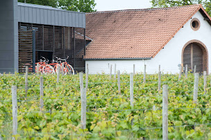 Photo n°28 de Vignobles Mourat à Mareuil-sur-Lay-Dissais (Restaurant)