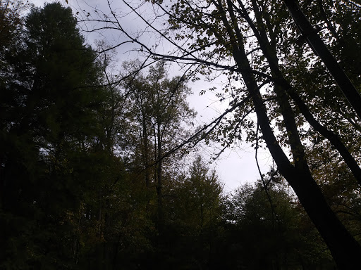 Mulky Campground Gallery - United States