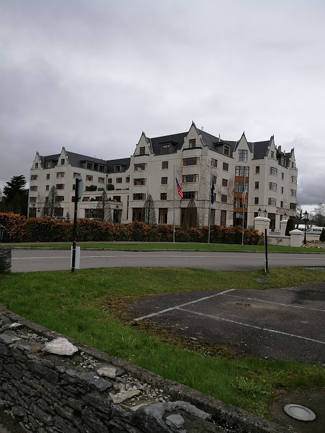 The Brehon