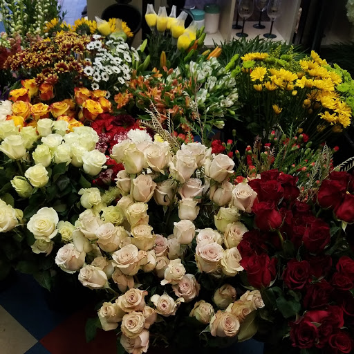 Carnation Corner Plus - Visual