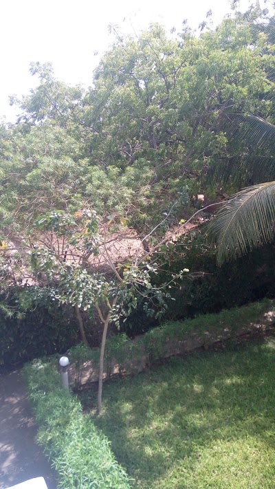 Photos of Galu Inn