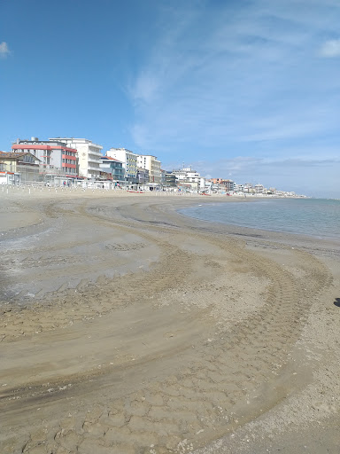 bellaria igea marina - Thumbnail