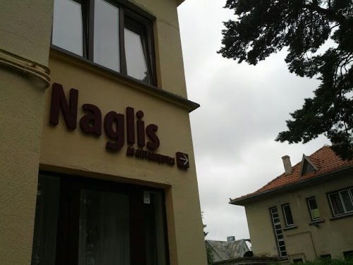 Apartamentai Naglis