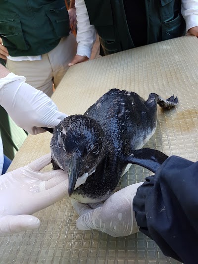 Photos of Veterinary Clinic Metrenco