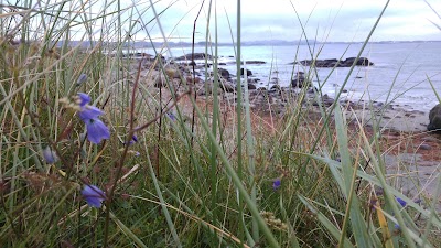 Photos of Brusand Camping