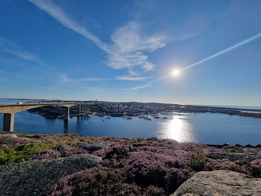 Car Parking With View - Thumbnail