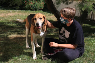 Photo n°3 de Ostéopathe Pour Animaux - Lucie Tison à Bayeux (Ostéopathe)