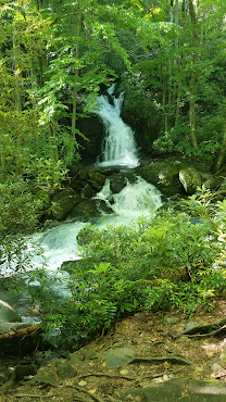Mouse Creek Falls by null