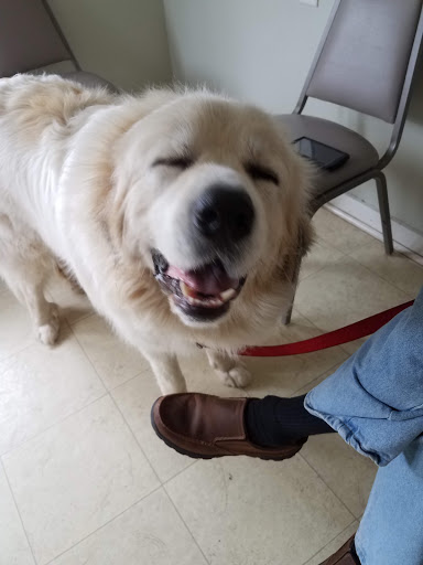 Baxley Animal Hospital - Thumbnail