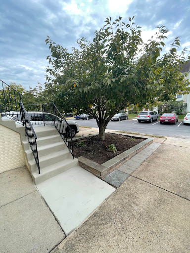Nova Construction Pro - Visual