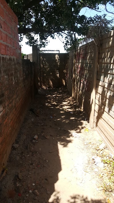 Photos of Parque Soberania