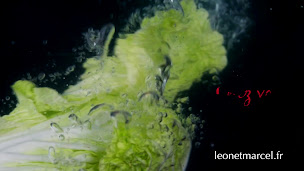 Photo n°21 de Léon & Marcel à Cosnes-et-Romain (Livraison de repas à domicile)