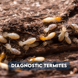 Photo n°22 de Activ'Expertise Saint-Etienne Montbrison à La Talaudière (Centre de diagnostic)