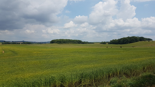 Val-de-Meuse