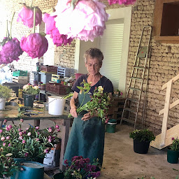 Photo n°3 de Céline Bonnet Horticulture à Rives-d'Autise (Marché aux fleurs)
