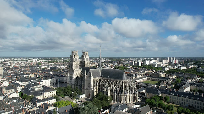 Cathédrale Sainte-Croix d'Orléans - Église